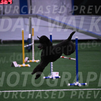 Finn-Madison-Canton-05519