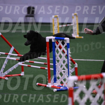Finn-Madison-Canton-05522