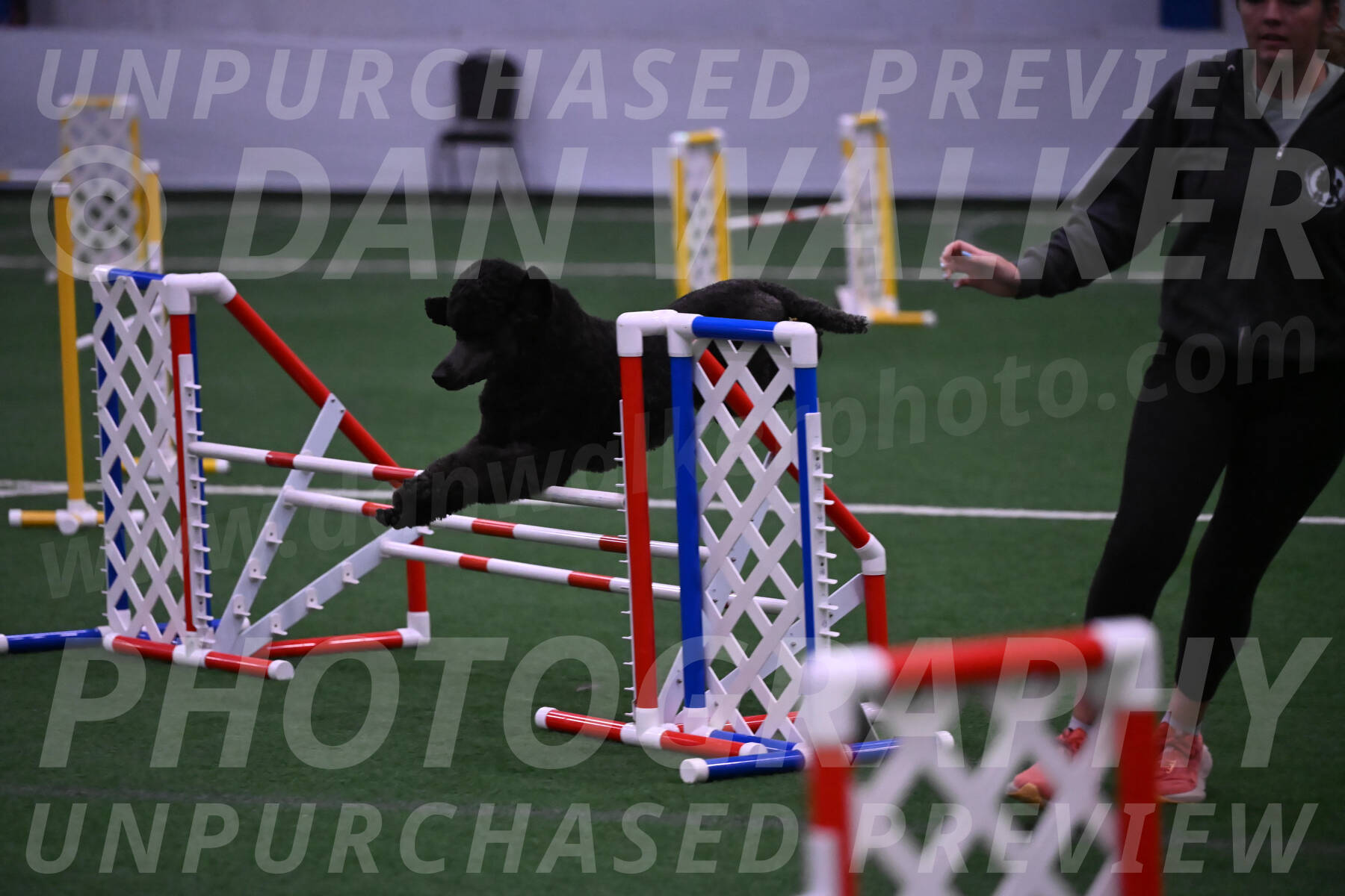 Finn-Madison-Canton-05522