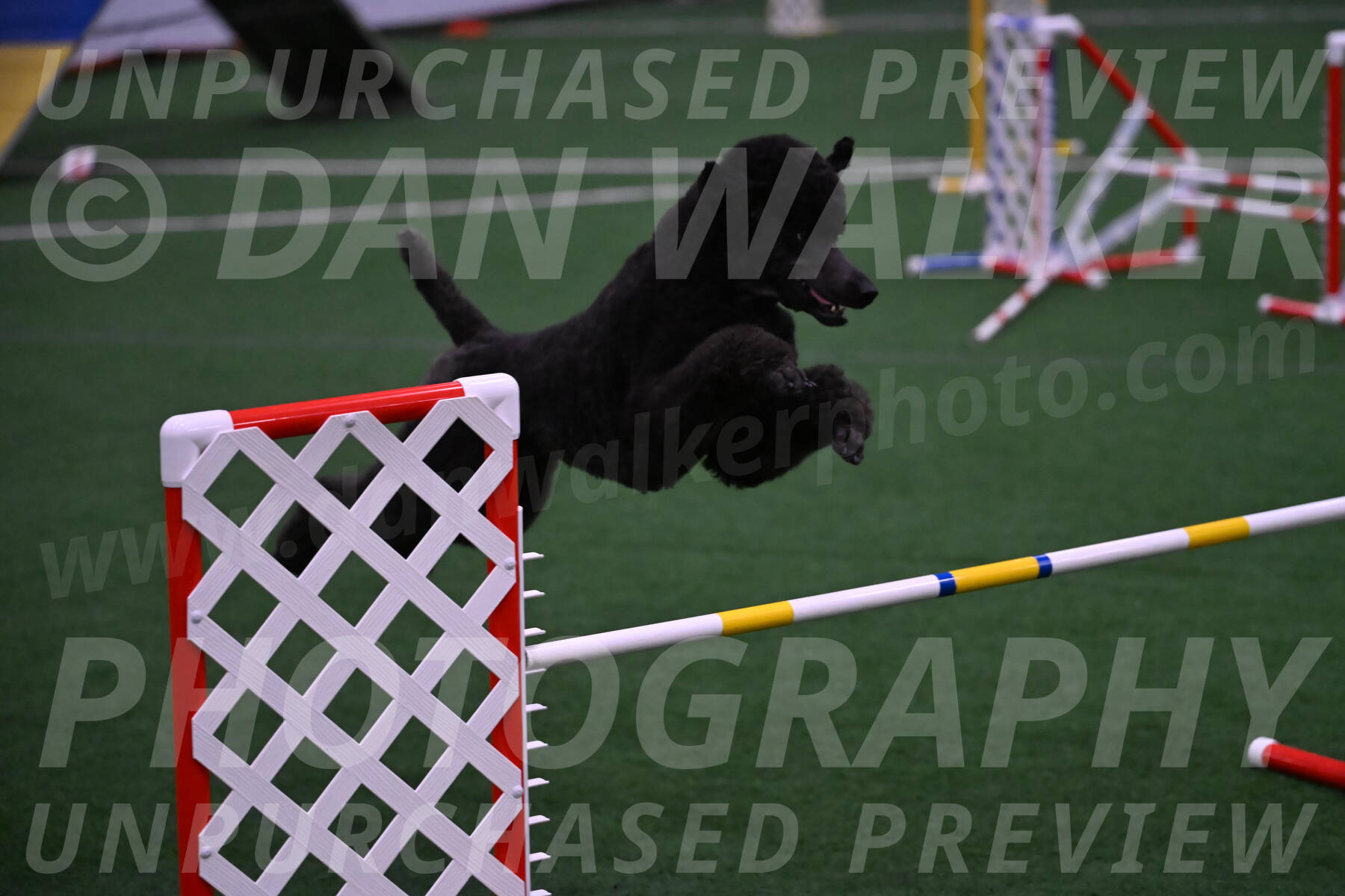 Finn-Madison-Canton-05526