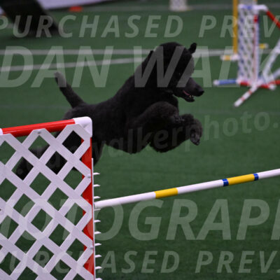 Finn-Madison-Canton-05526