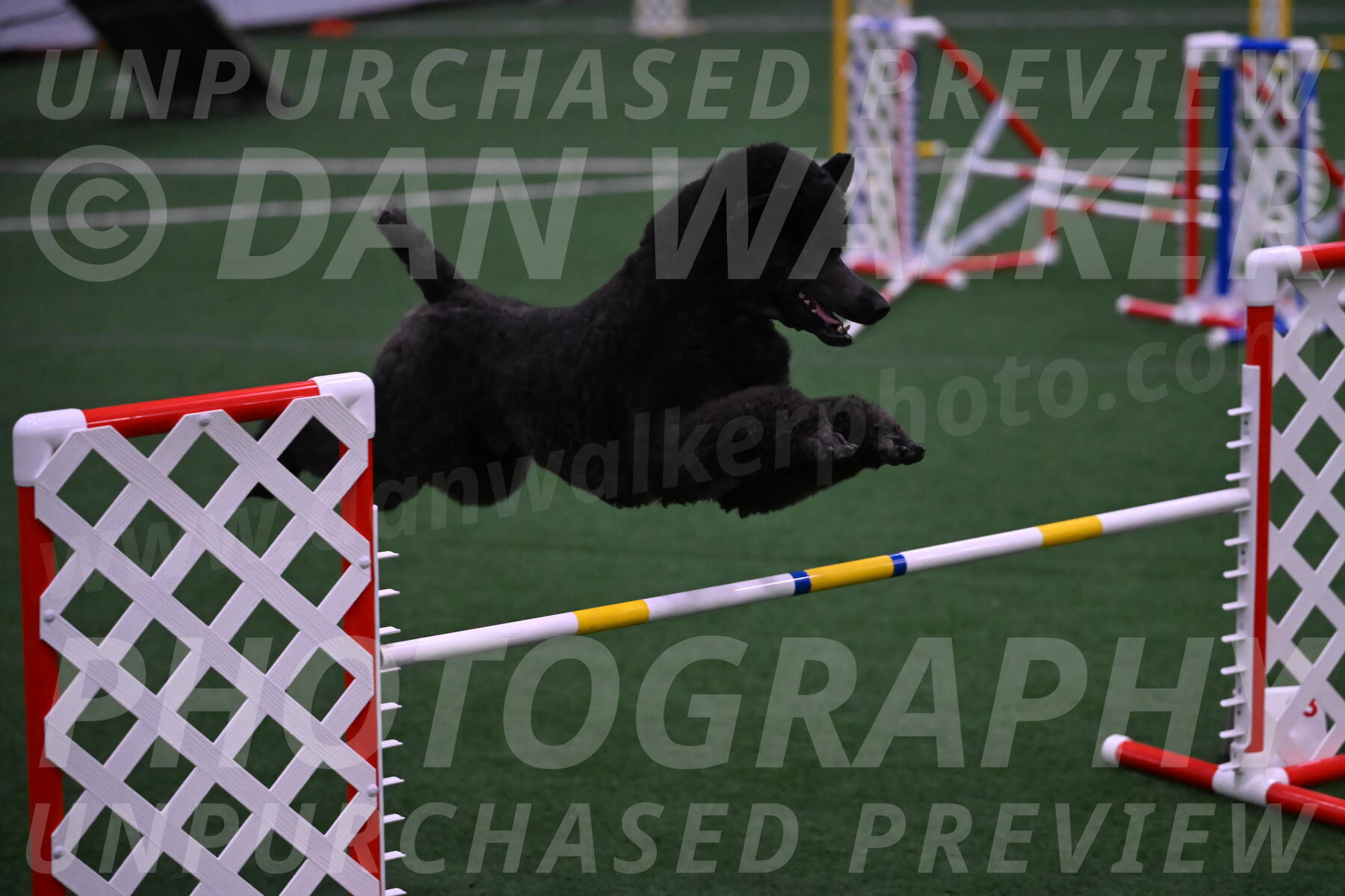 Finn-Madison-Canton-05527