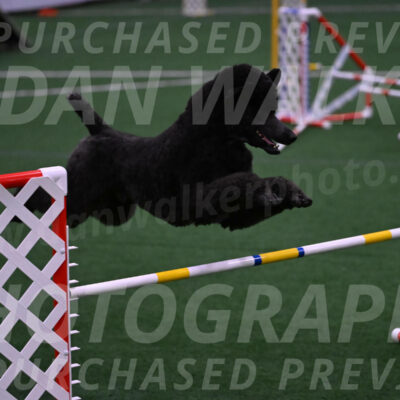 Finn-Madison-Canton-05527