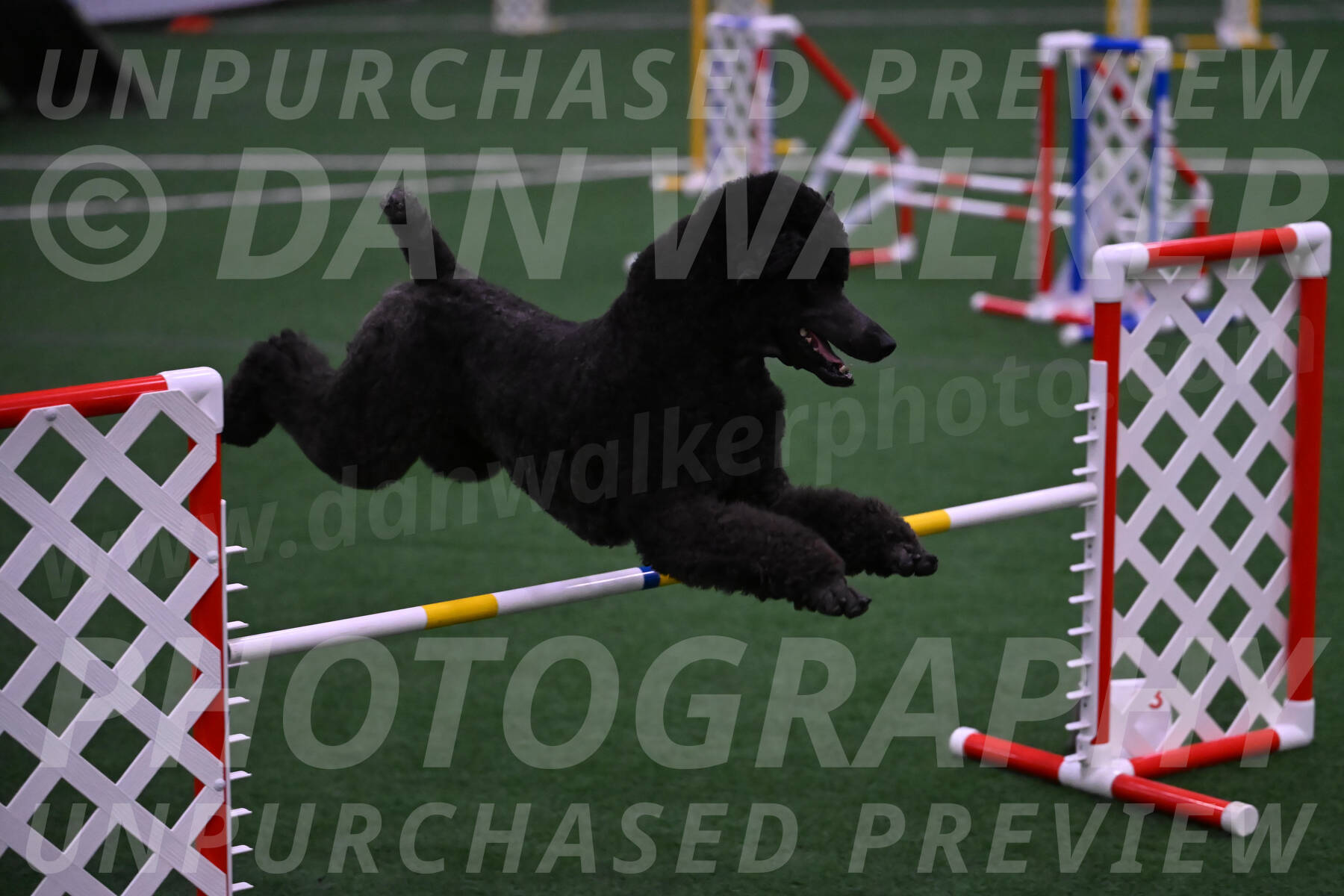 Finn-Madison-Canton-05528