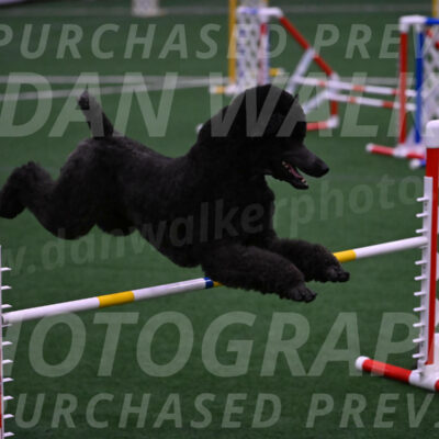Finn-Madison-Canton-05528