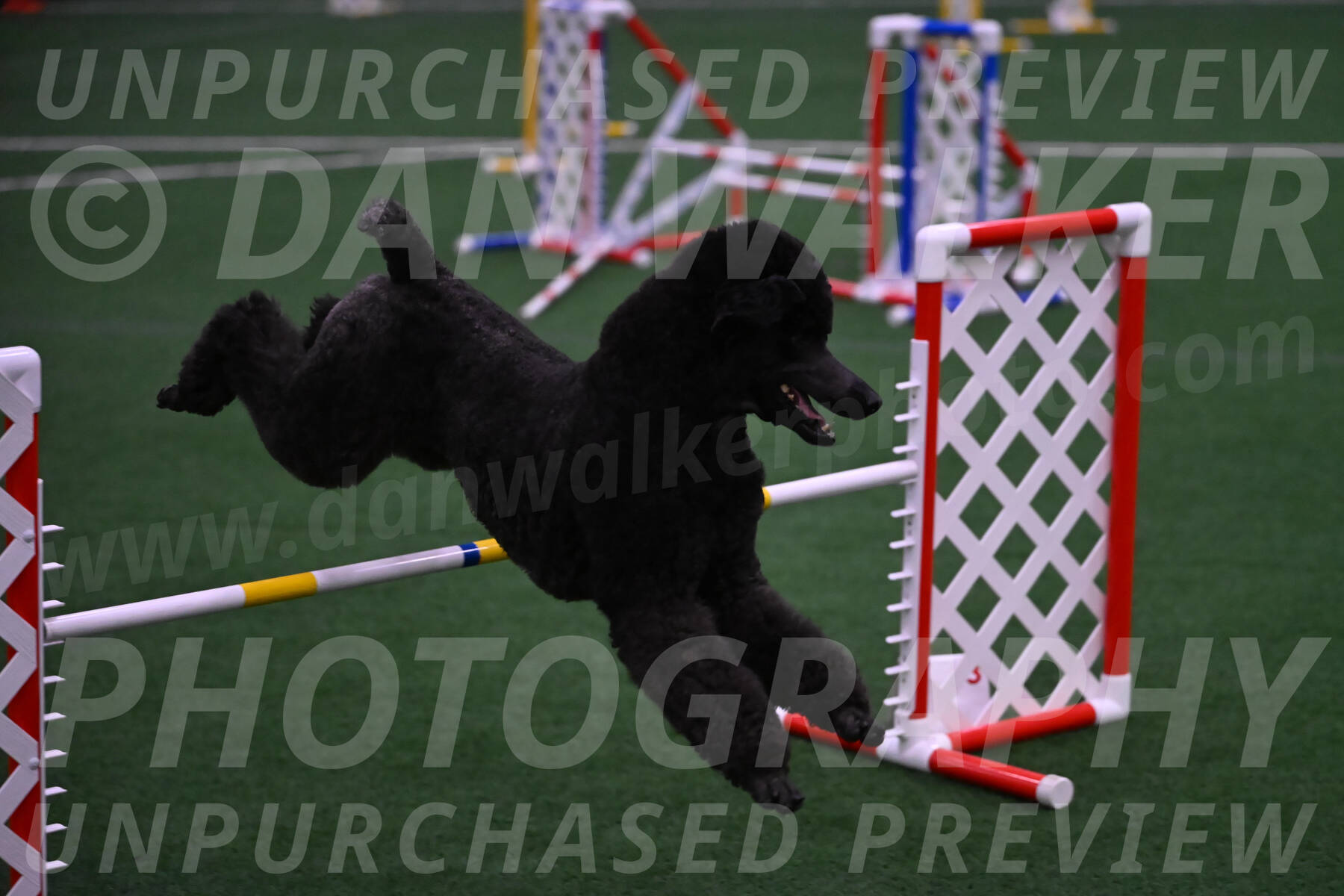 Finn-Madison-Canton-05529