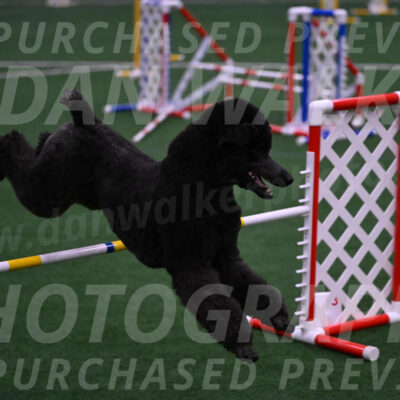 Finn-Madison-Canton-05529