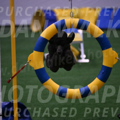 Finn-Madison-Canton-05533