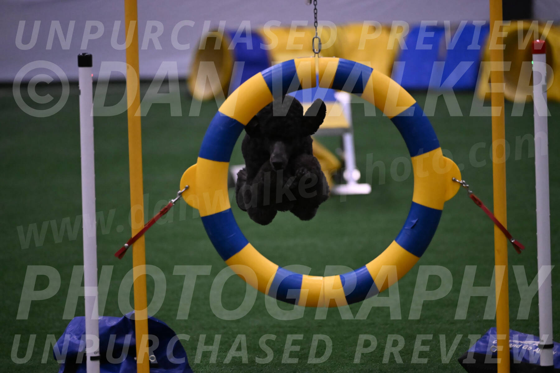 Finn-Madison-Canton-05533