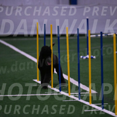 Finn-Madison-Canton-05541