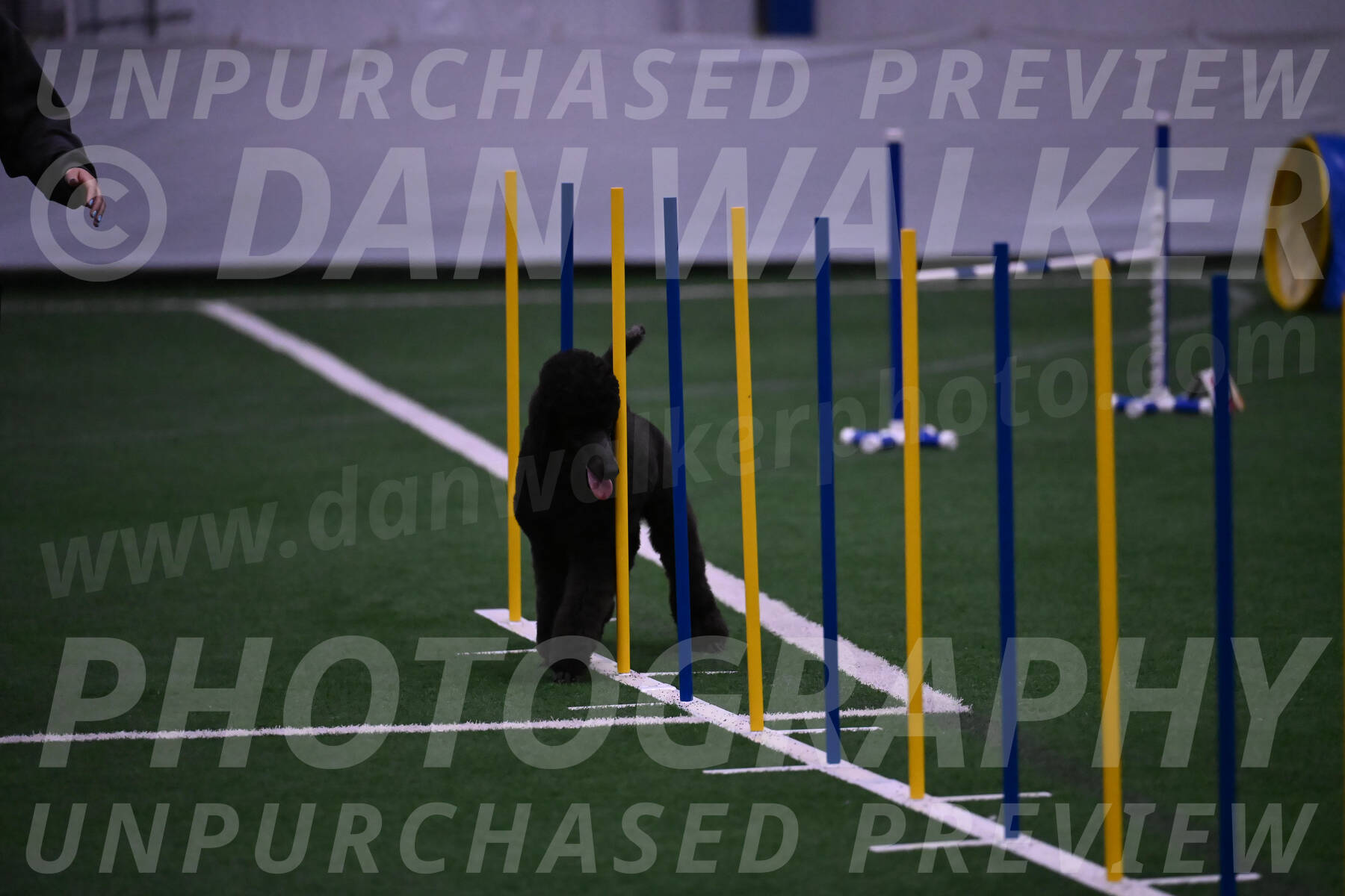 Finn-Madison-Canton-05541