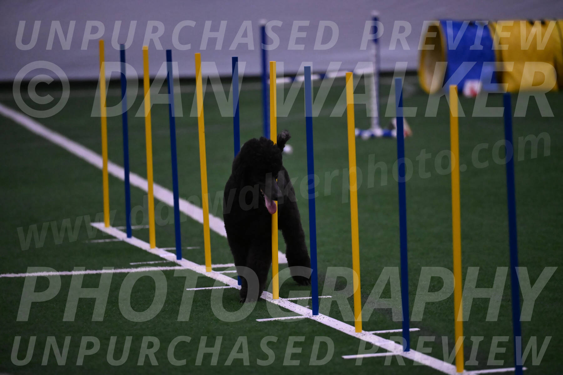 Finn-Madison-Canton-05558