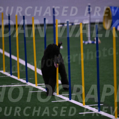 Finn-Madison-Canton-05558