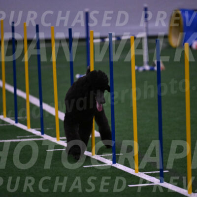 Finn-Madison-Canton-05559