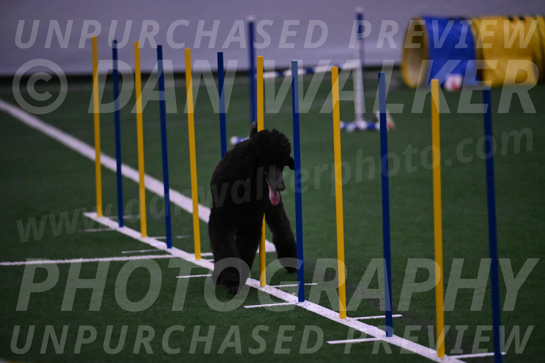 Finn-Madison-Canton-05559