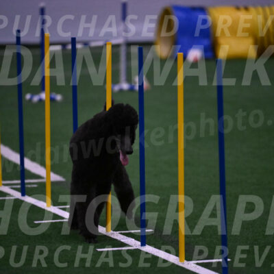 Finn-Madison-Canton-05563