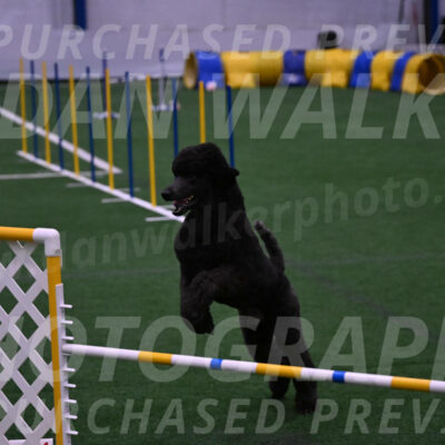 Finn-Madison-Canton-05572