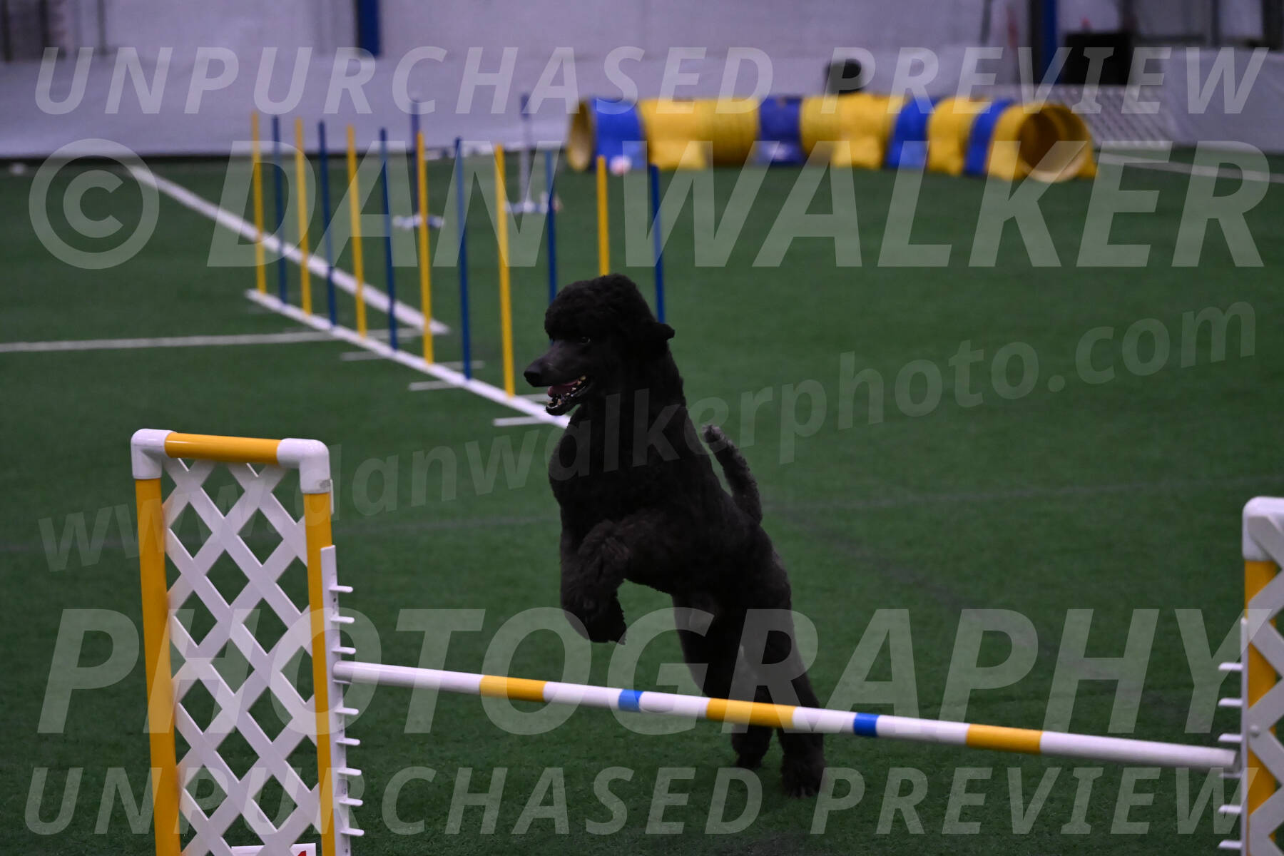 Finn-Madison-Canton-05572