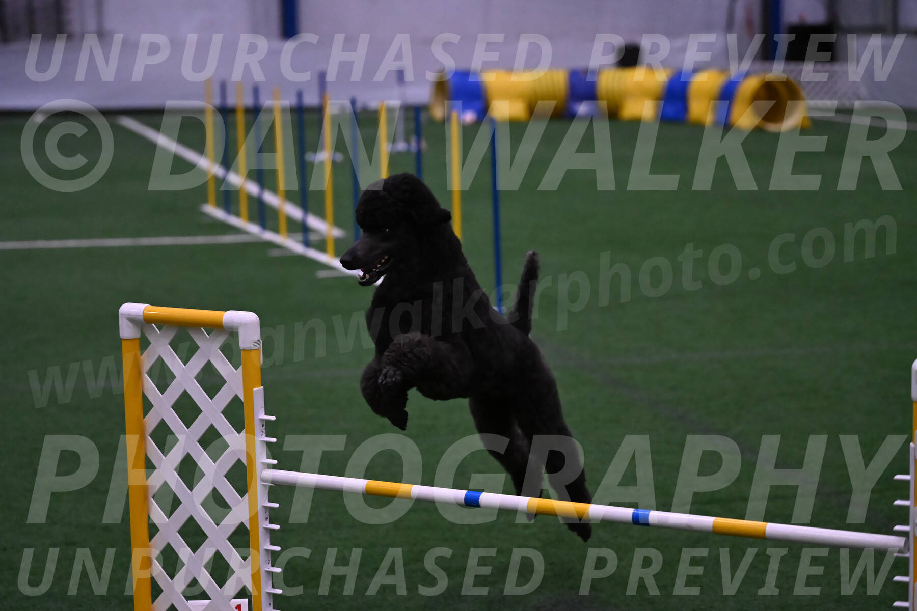 Finn-Madison-Canton-05573