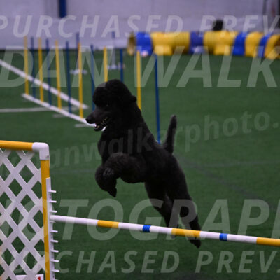 Finn-Madison-Canton-05573
