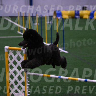 Finn-Madison-Canton-05575
