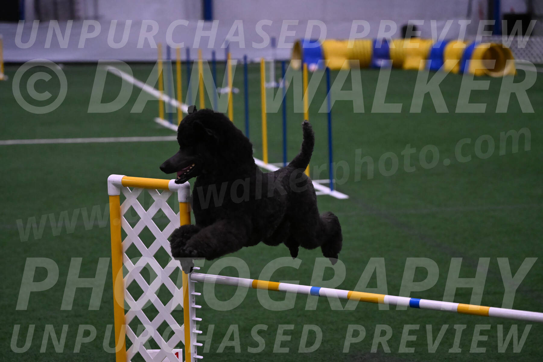 Finn-Madison-Canton-05575
