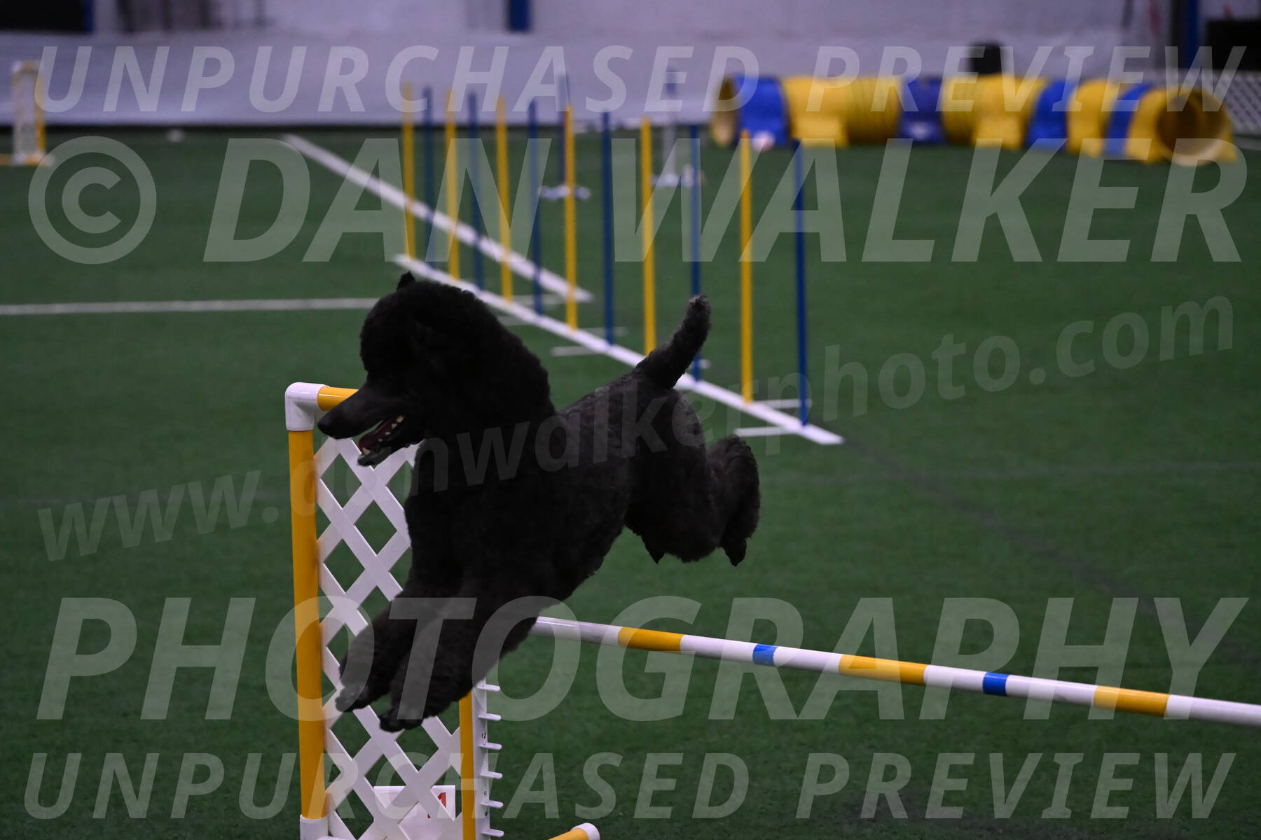 Finn-Madison-Canton-05576