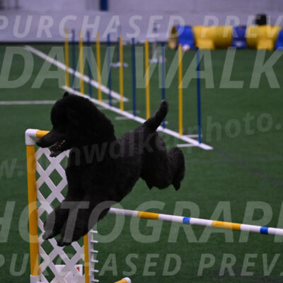 Finn-Madison-Canton-05576