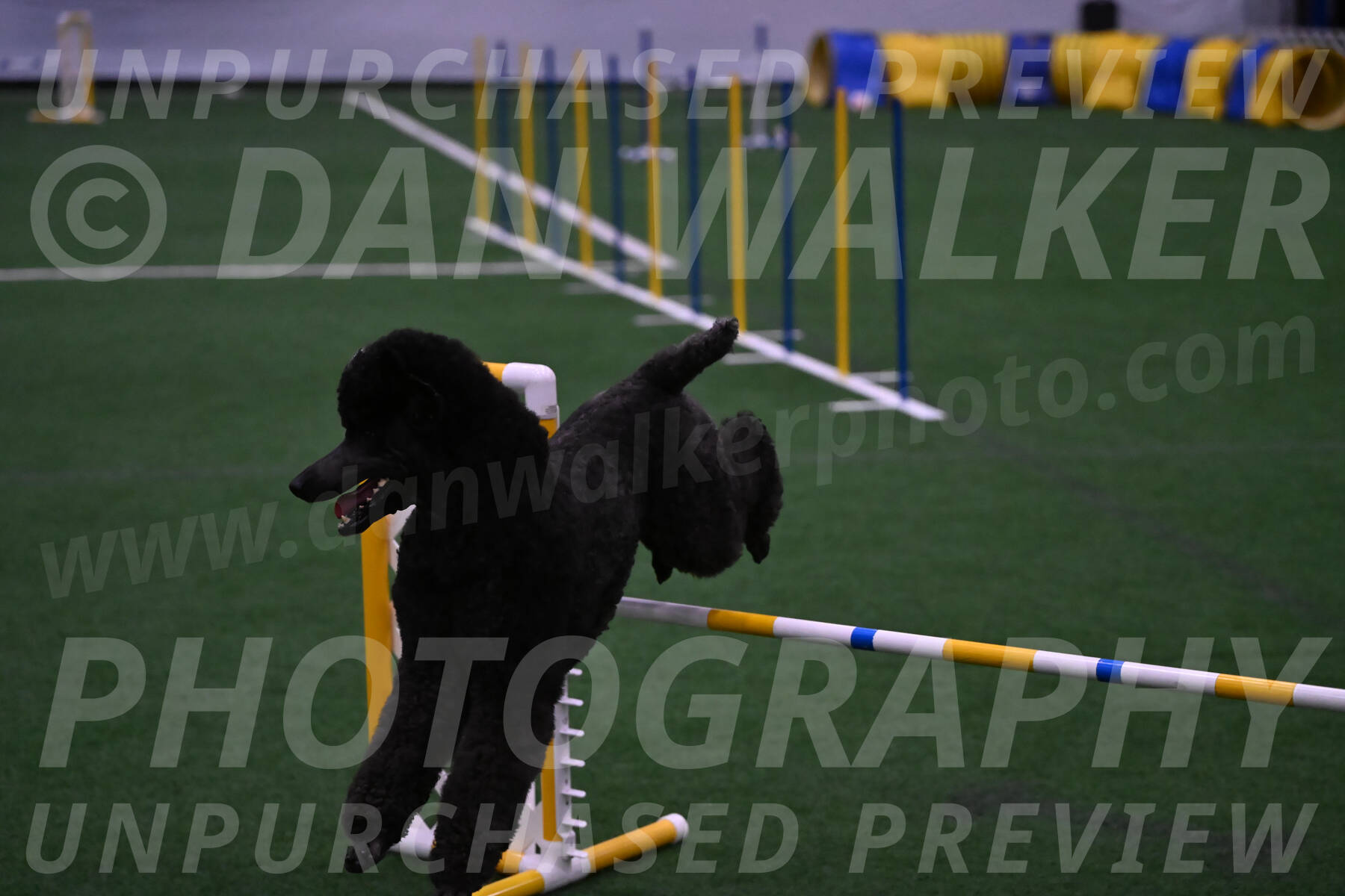 Finn-Madison-Canton-05577
