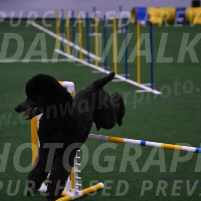 Finn-Madison-Canton-05577