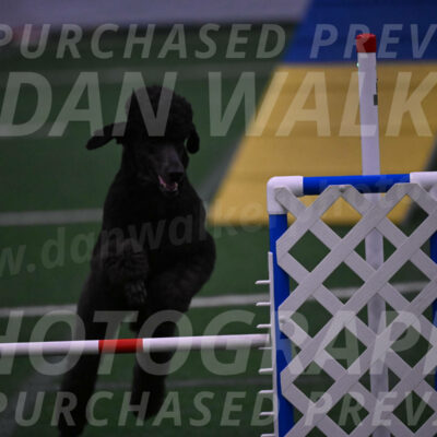 Finn-Madison-Canton-05582