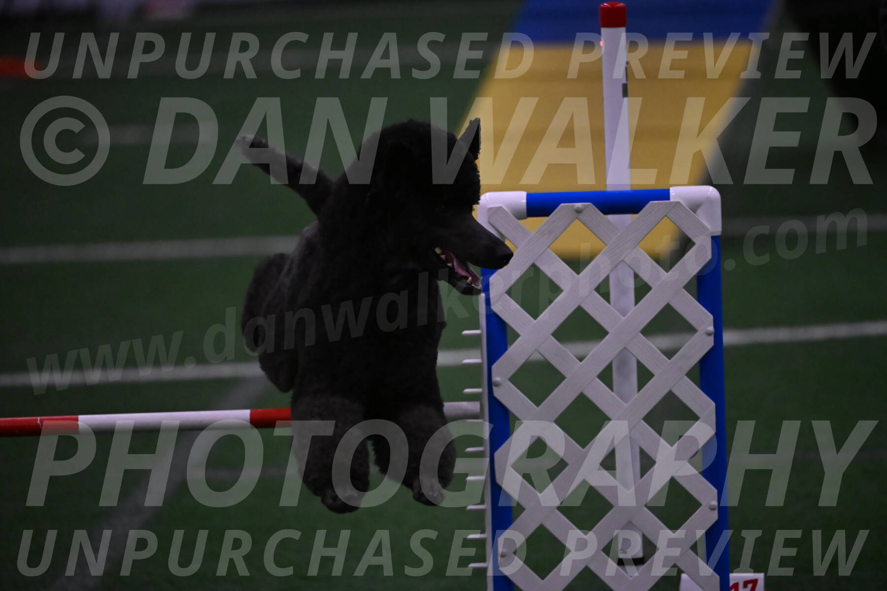 Finn-Madison-Canton-05585