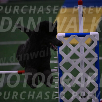 Finn-Madison-Canton-05585