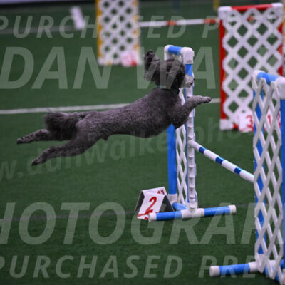 Fizz-Lori-Bieber-01738