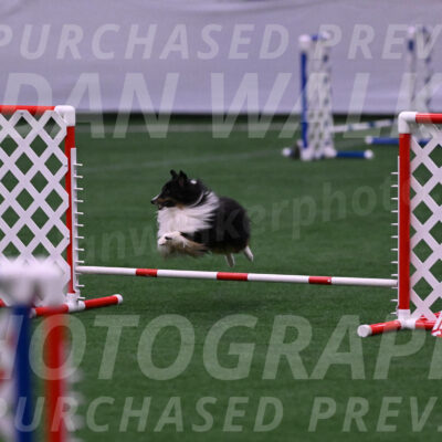 Gizmo-Kim-Finlayson-10079