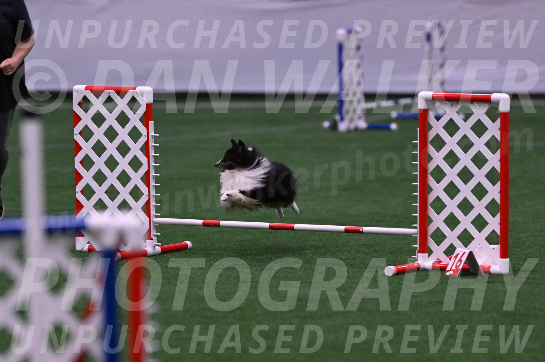 Gizmo-Kim-Finlayson-10079