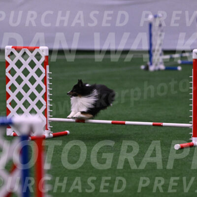 Gizmo-Kim-Finlayson-10080