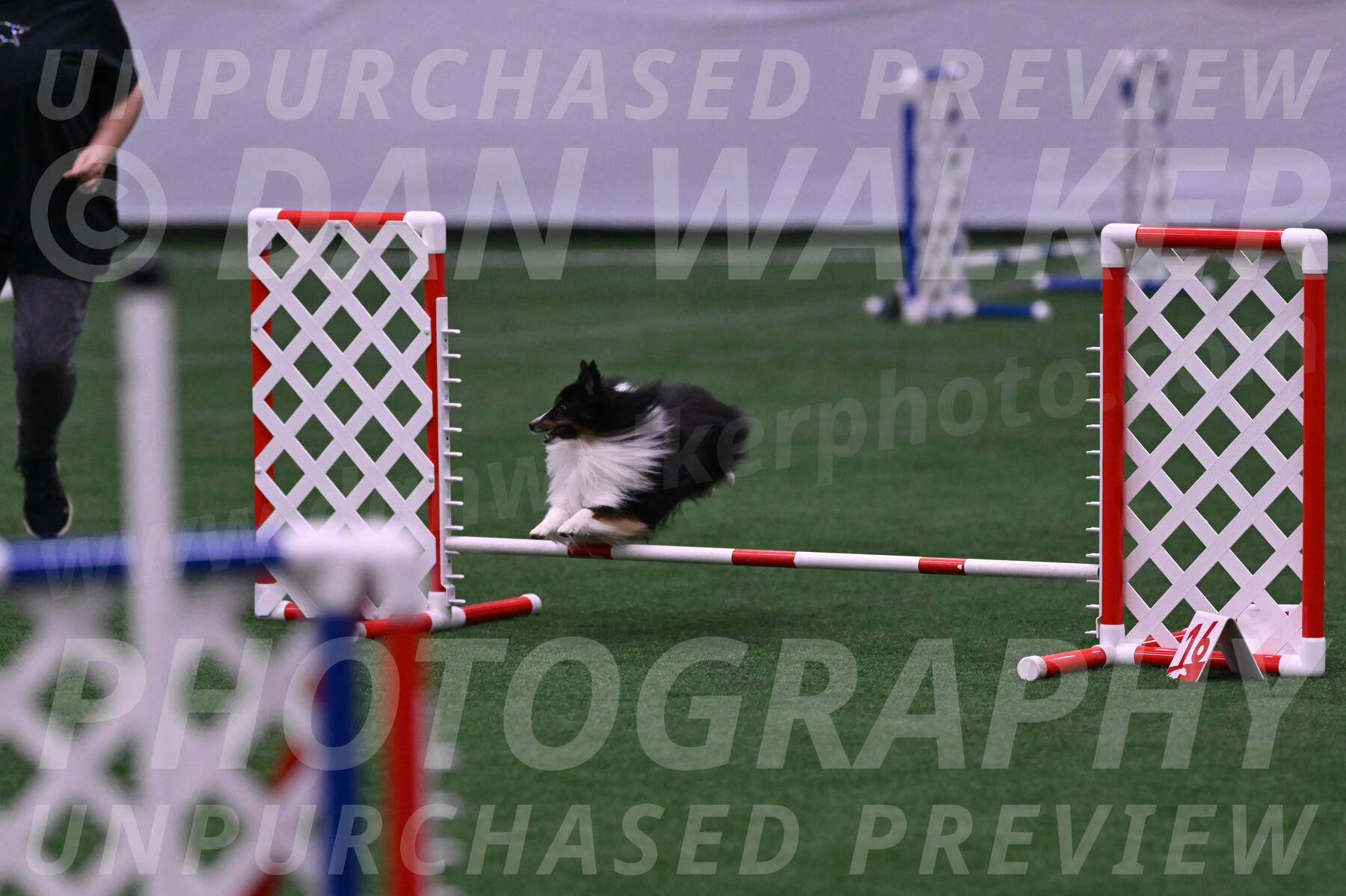 Gizmo-Kim-Finlayson-10080