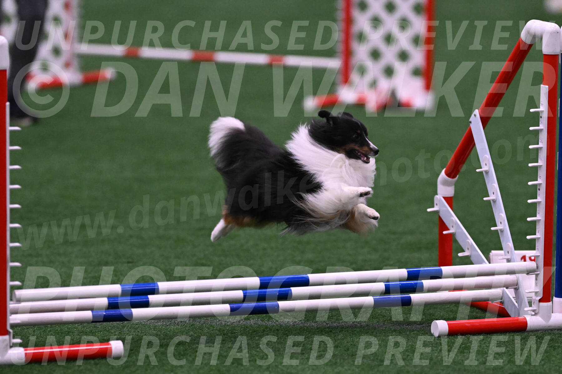 Gizmo-Kim-Finlayson-10082
