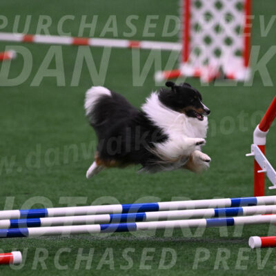 Gizmo-Kim-Finlayson-10082