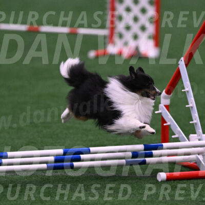 Gizmo-Kim-Finlayson-10083