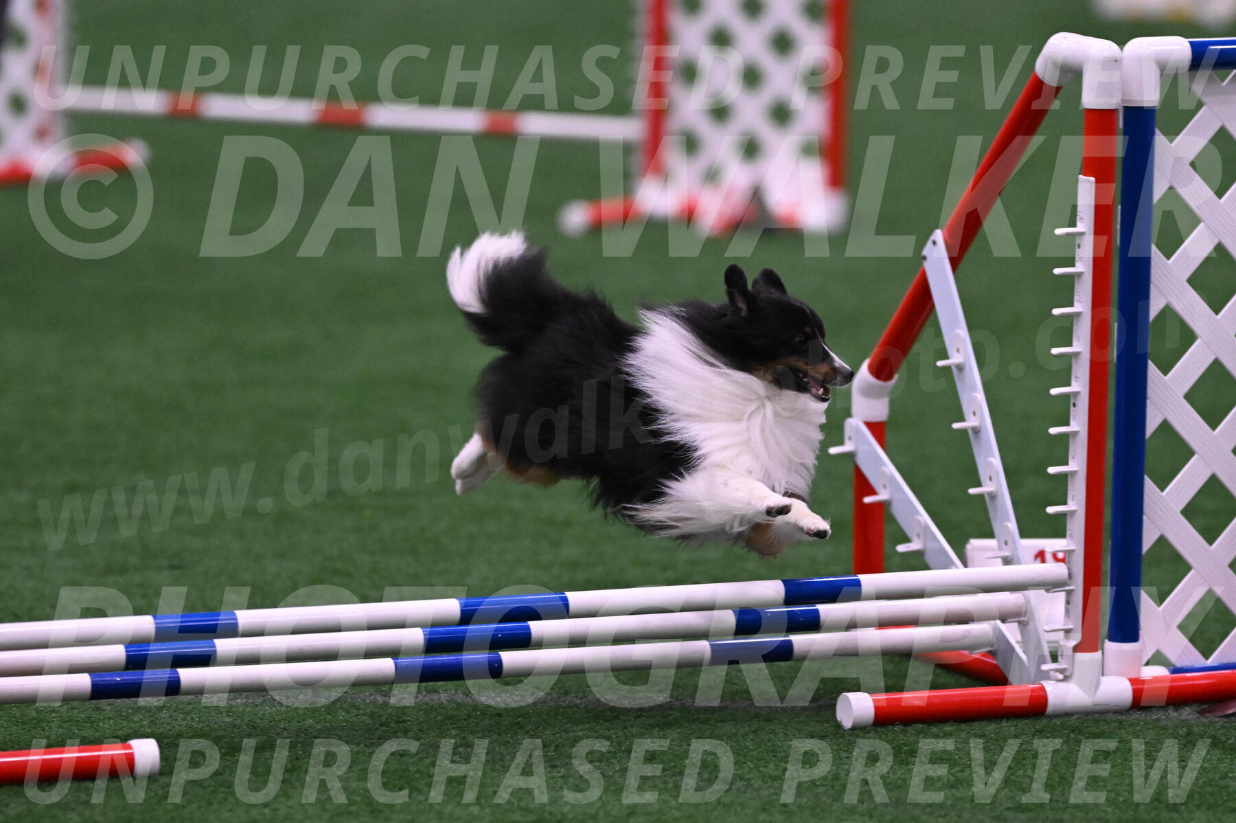 Gizmo-Kim-Finlayson-10083