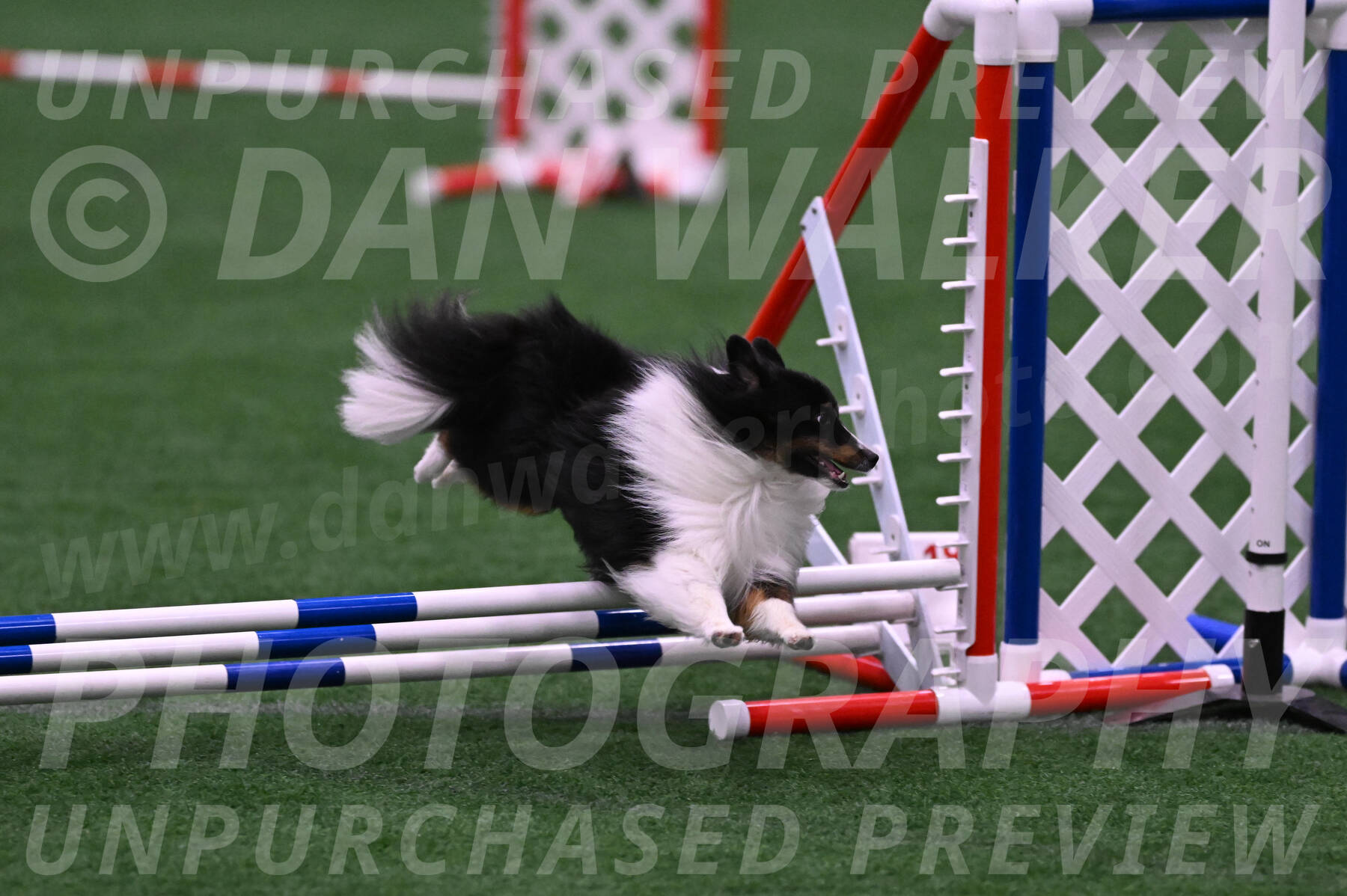 Gizmo-Kim-Finlayson-10084
