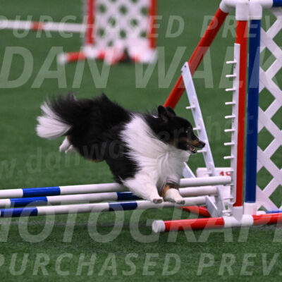 Gizmo-Kim-Finlayson-10084