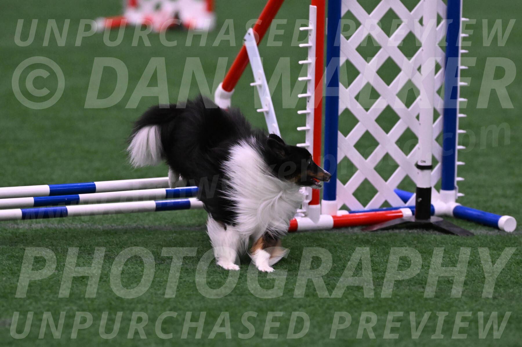 Gizmo-Kim-Finlayson-10085
