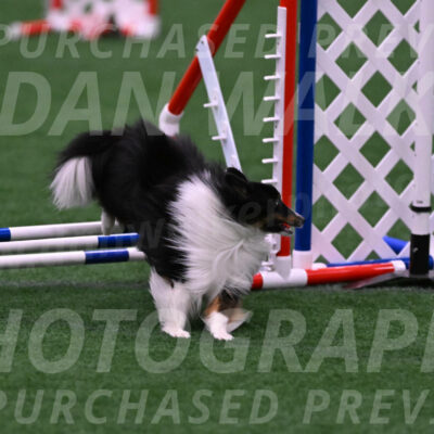 Gizmo-Kim-Finlayson-10085