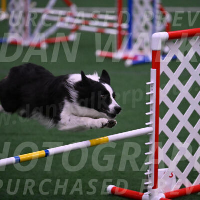 Gray-Tricia-Mark-Solinger-00052