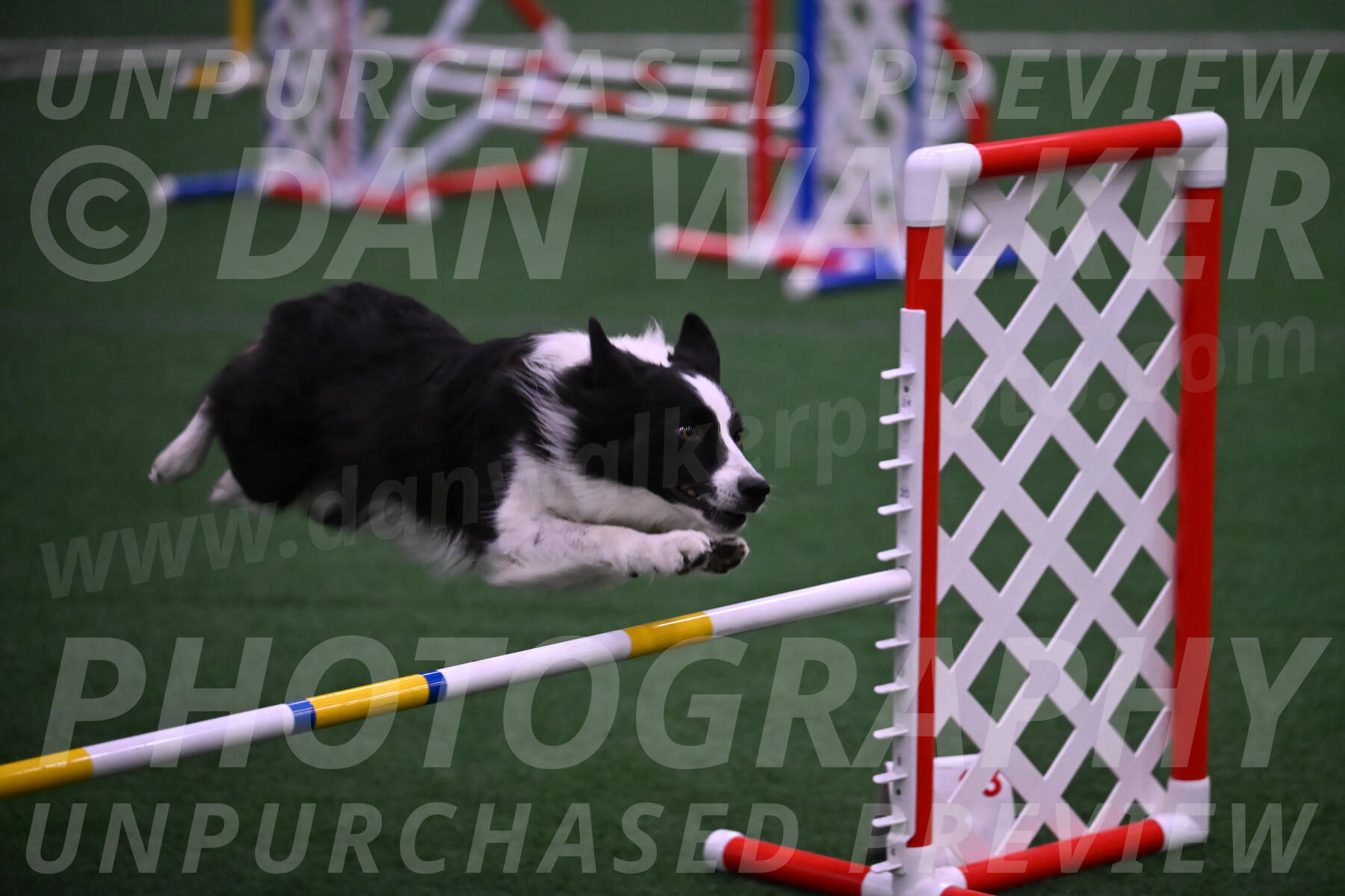 Gray-Tricia-Mark-Solinger-00052