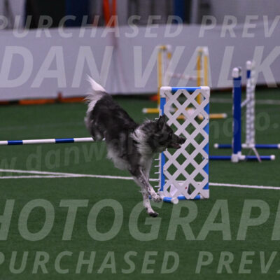 Grindylow-Robert-Rachow-03484
