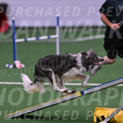 Grindylow-Robert-Rachow-03485